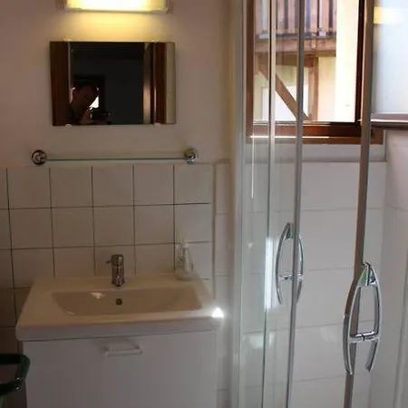 Apartment Le Bressaud La Bresse